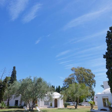 Lella Zohra, Studio Avec Piscine A Sidi Bou Said B&B 외부 사진