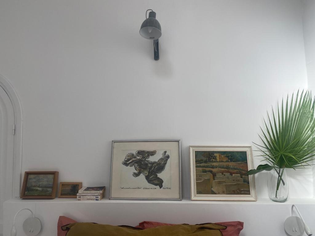 Lella Zohra, Studio Avec Piscine A Sidi Bou Said B&B 외부 사진