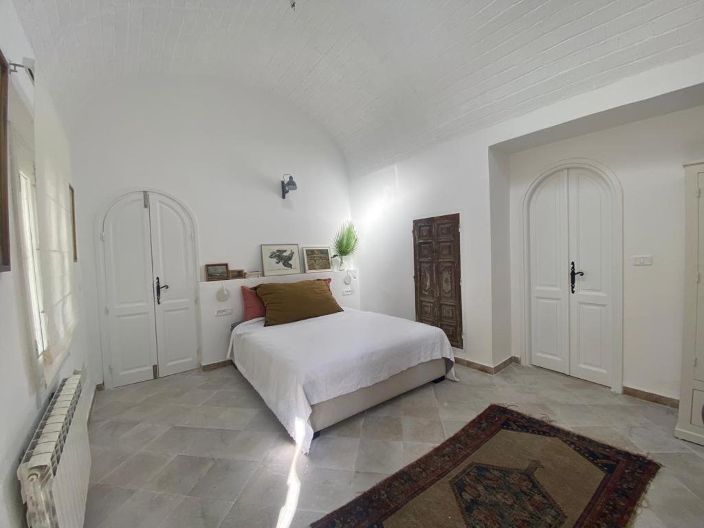 Lella Zohra, Studio Avec Piscine A Sidi Bou Said B&B 외부 사진