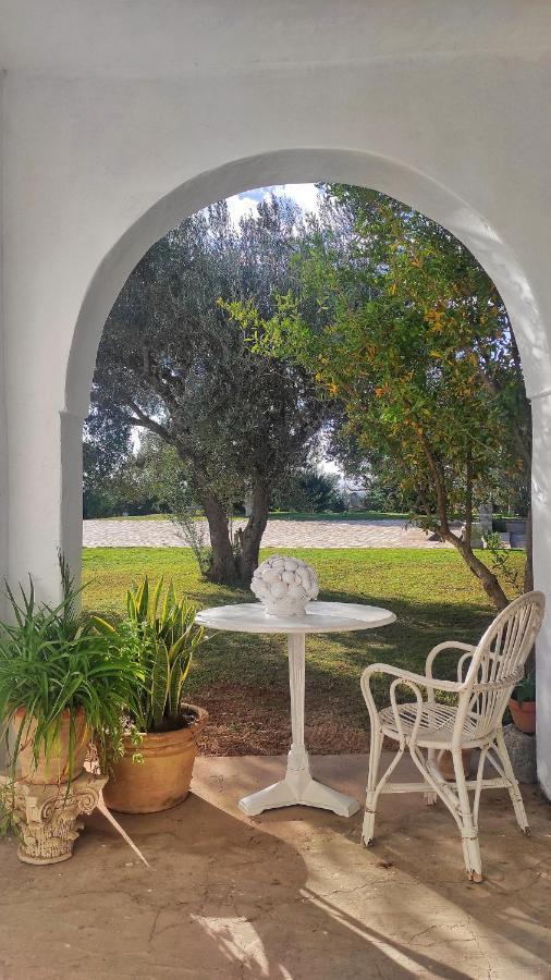 Lella Zohra, Studio Avec Piscine A Sidi Bou Said B&B 외부 사진