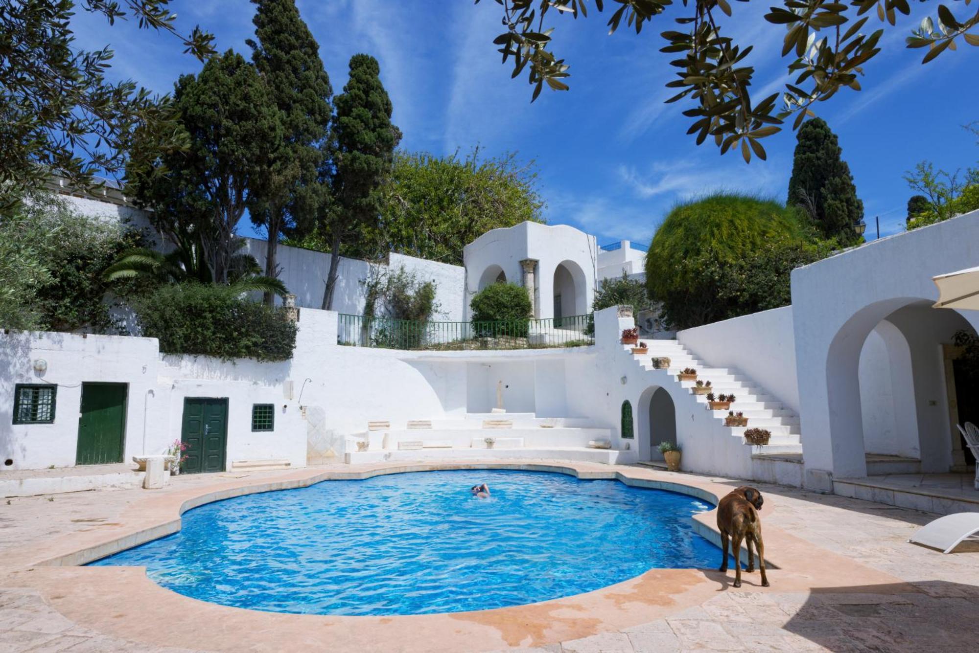 Lella Zohra, Studio Avec Piscine A Sidi Bou Said B&B 외부 사진