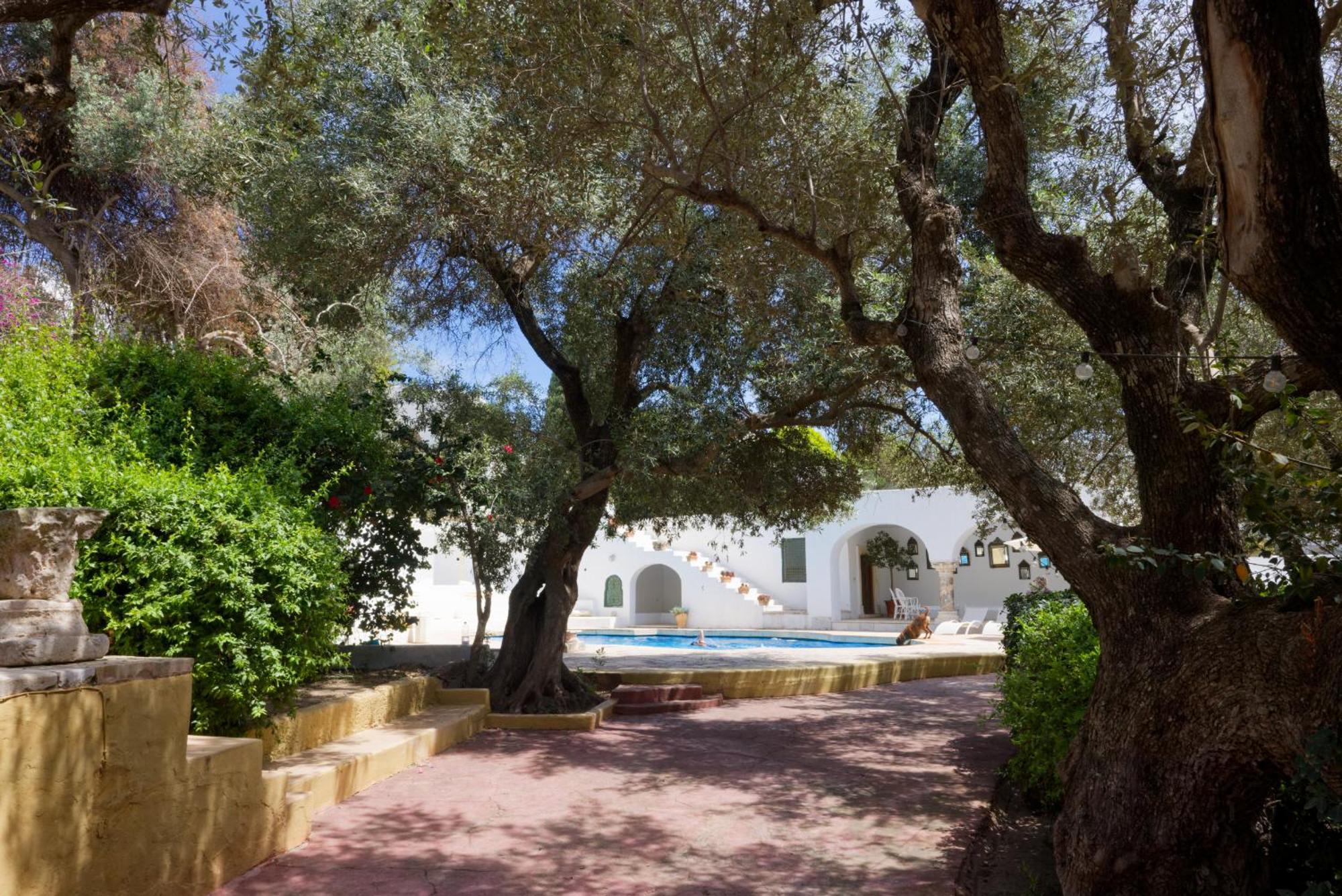 Lella Zohra, Studio Avec Piscine A Sidi Bou Said B&B 외부 사진